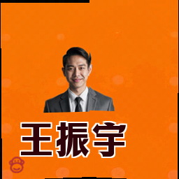 王振宇